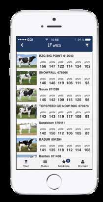 Utforska tjurkatalogen i vår nya app... Genom att ladda ner vår nya app får du hela tjurkatalogen direkt i din mobil eller surfplatta. I appen finns all information du behöver om våra tjurar.