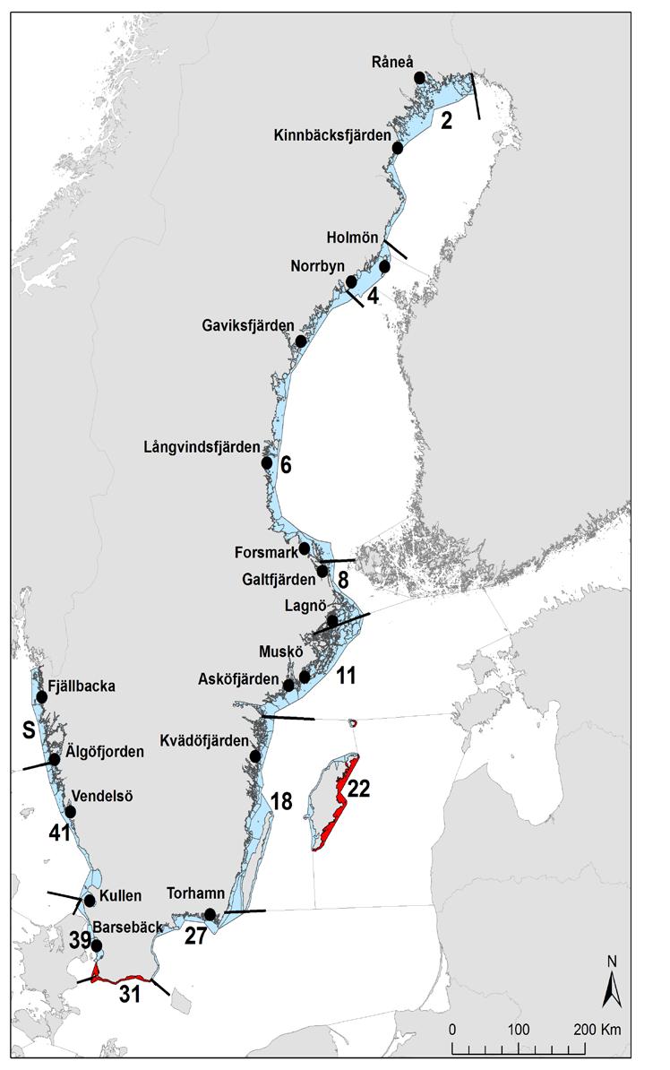 Närmaste frågor efter detta Analys i förhållande till fisketryck (frånvaro av fisketryck) Se över