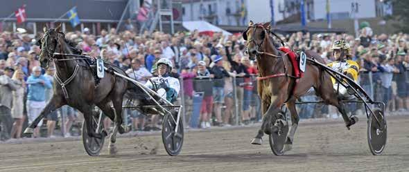 Tandemkörning - prova på Numera kan du boka en tandemkörning direkt via vår eventavdelning. Ta kontakt med eanette Daresjö på 0-0 eller via mail jeanette.daresjo@halmstad.travsport.se Priset är.