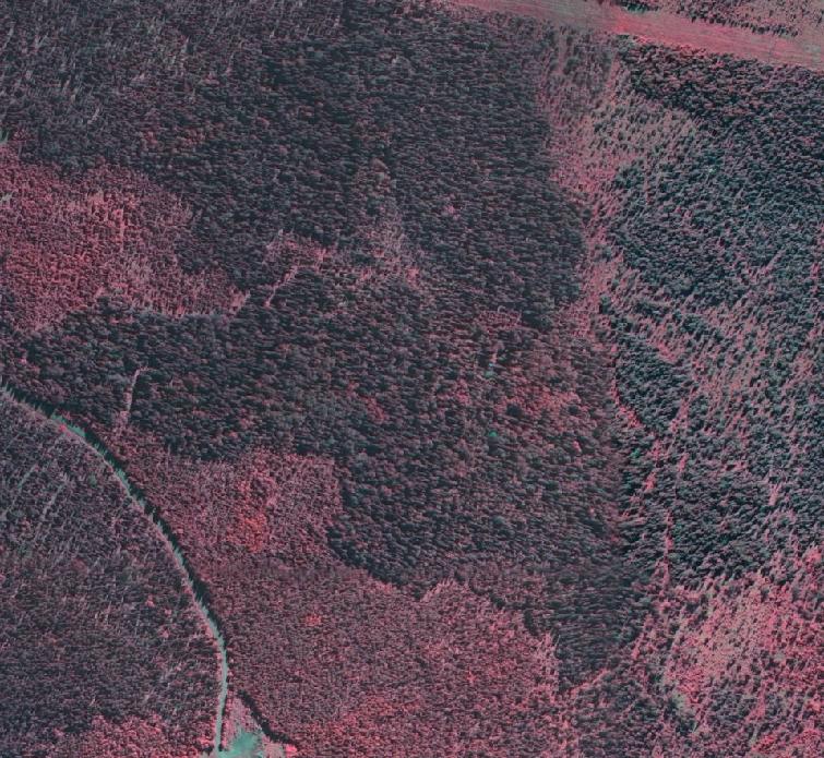 Dnr: 511-6818-11 Bilaga 3a Naturreservatet Slåttsved Skötselområden A2 B1 I C B2 Teckenförklaring I