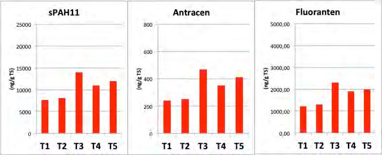 Halterna av spah11 är 13 % lägre i öppna Trekanten (Fig. 14) än i skärmbassängen.