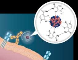 Targeted Thorium Conjugates: Development Overview Targeted thorium conjugates are being investigated in several tumor types 1 5 MSLN-TTC (anetumab-ttc): mesothelioma, ovarian cancer, pancreatic