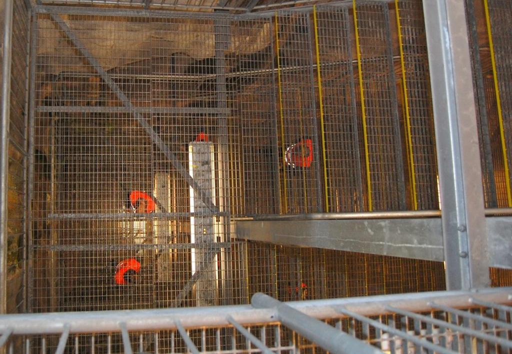 Figur 8. Bild tagen ner genom trappschaktet där siktbarheten genom gallertrapporna illustreras. Personerna i bild befinner sig en eller flera våningar under kameran. Fotograf: Robert Lindberg.