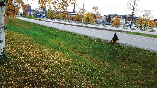 Negativa effekter av förorenat dagvatten kan med samma koppling mildras genom användning av grön infrastruktur, exempelvis gräsbevuxna svackdiken.