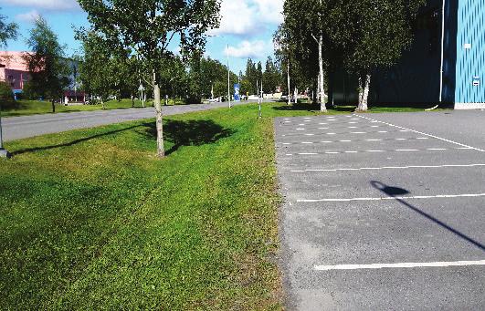 Dessa gräsbevuxna svackdiken har tre viktiga funktioner i dagvattensammanhang: ändrad flödestransport, reducerade toppflöden och förbättrad dagvattenkvalitet.