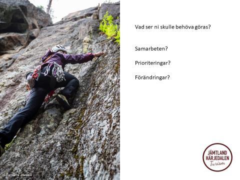 Vision: Hela Berg ska sjuda av liv Tillsammans lyfter vi berg Genuina upplevelser genom samarbete Viktigt att det finns en jämn åldersfördelning möjlighet att stanna kvar för unga (utbildning) Ge o