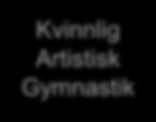 Samarbeten Kommunens syn på Svensk Gymnastik Trampolin/ DMT Uppvisning