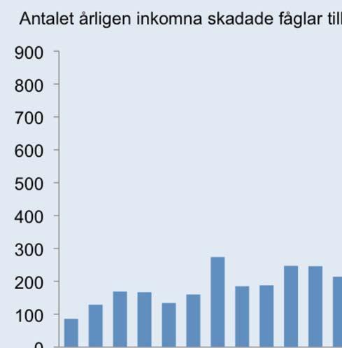 Figur 1. Antal skadade fåglar De första tio åren låg antalet inkommande skadade fåglar till fågelcentralen oftast mellan 100 och 200 individer per år, med en svag ökning under de senare åren.