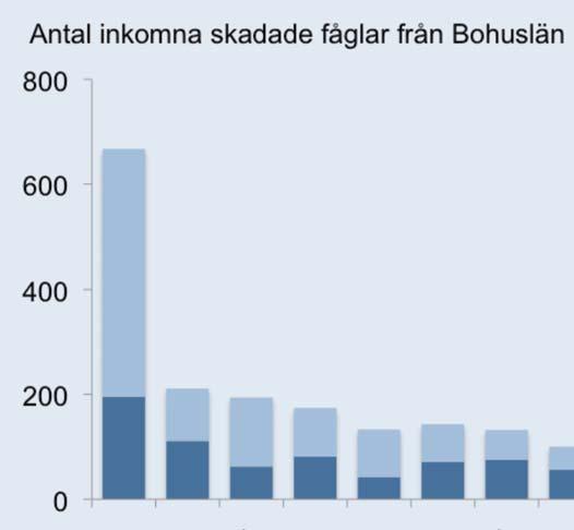 Figur 2. Upptagningsområde Omkring 60% av alla inlämnade fåglar kommer från Göteborgs kommun, varefter antalet avtar med avståndet till centralen.