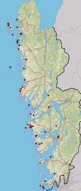 Nord-Koster 1967-2007 (4 sj, 8 år) Södra Råssö 1991-1999 (2 sj, 5 år) Ramsö 1987, 1997 (1 sj, 2 år) Lindön-Kalvön 1977-2007 (10 sj, 25 år) Tjurpannan 2001-2010 (2 sj, 9 år) Storön 1988-2000 (1 sj, 4