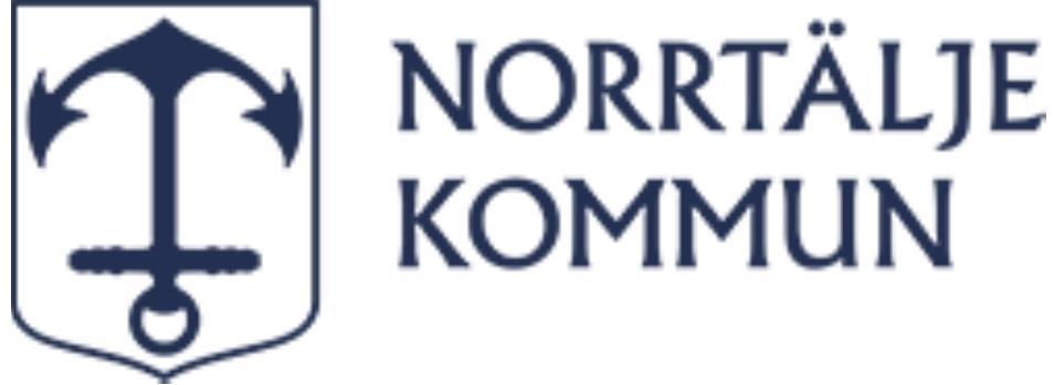 Internkontrollrapport 2019 Utgåva: