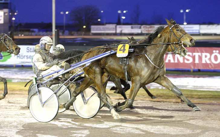 110205 Turbos Cherie ruggig på V75! Det rådde ingen tvekan om vem som var bäst i loppet när Turbos Cherie och Leif Witasp vann trots en inledande galopp.