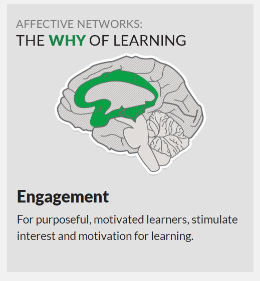 Provide multiple means of Engagement Provide multiple means of Representation Provide multiple means of Action & Expression Erbjud flera olika engagemangsmöjligheter Erbjud