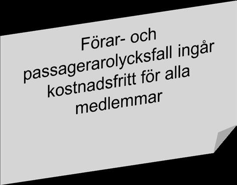 Bilförsäkring Fem olika
