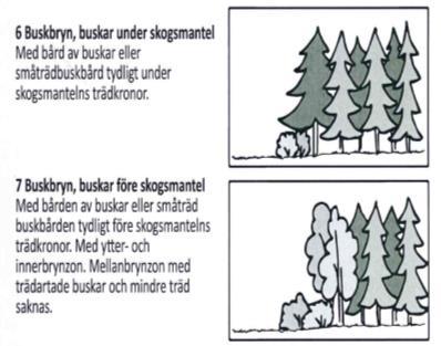 Underlag för att beskriva dagens skogsbryn Riksskogstaxeringen