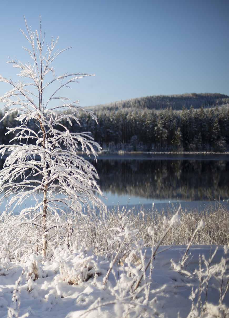 Foto: Firma Joakim Blomkvist. I Bensjö är jag född och uppvuxen, att få återvända som pensionär betyder mycket. Det här är min plats, med minnen av min barndom och min man.