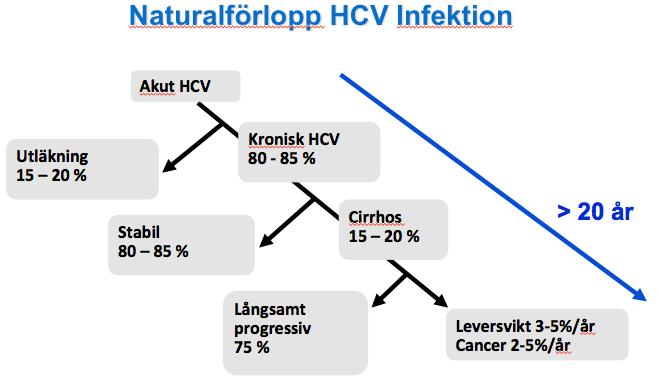 Risk att utveckla kronisk hep C: 60-80 % oavsett ålder Vertikal smitta: Ca 30 % in utero Ca 70 % vid partus Serologi på MHV: -anamnes på missbruk,