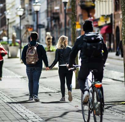 Innehåll Varför studentguide?