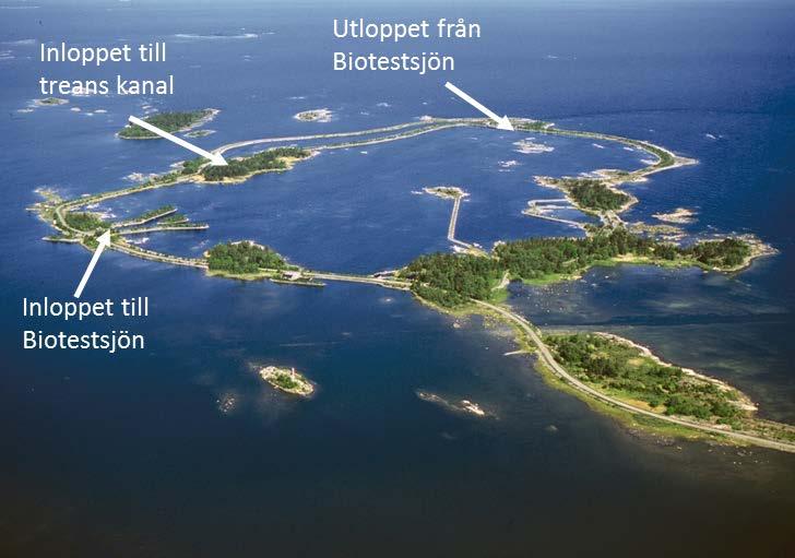 kraftverket och samlas upp i containrar och går förlorade. Mindre organismer, till exempel djurplankton och fisklarver, kan passera genom silarna (Ehlin m.fl. 2009).