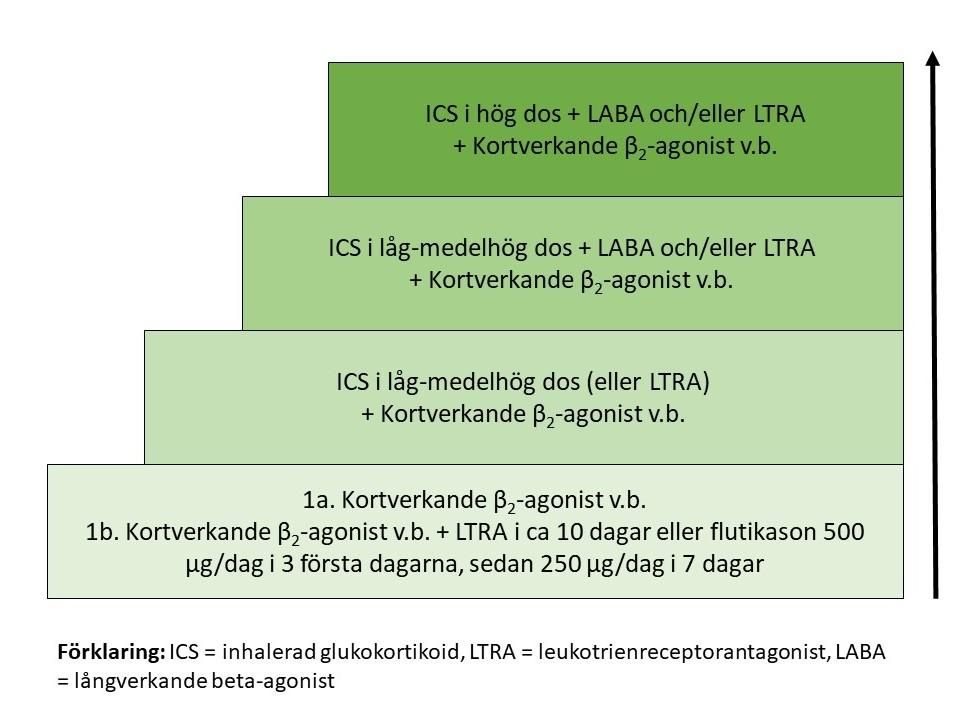 2 (7). Barn 0 5 år Astman skall vara välkontrollerad, det vill säga punkt 1-6 i mål för underhållsbehandling skall vara uppfyllda.