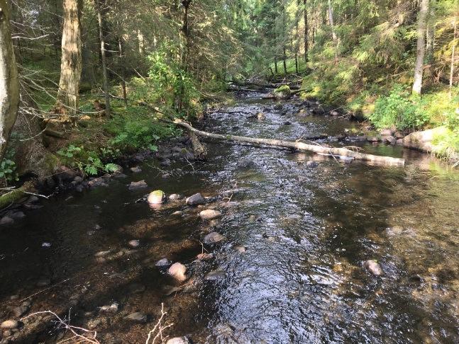 Elfiskelokalerna Inlopp Långtjärn, bilden till vänster samt Utlopp Långtjärn, bilden till höger.