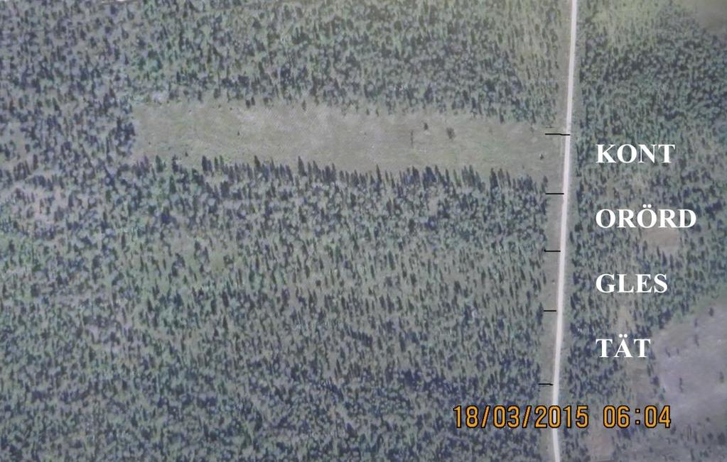 Mats Hagner 2015-03-22 Fältförsöket Piellovare skildrad av Google Earth 2012.