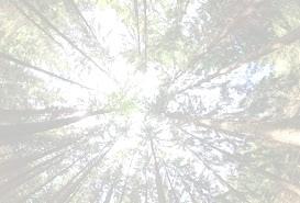 palmgrentradfallning@outlook.com Info från HIF Fotbollen är nu i full gång på alla fronter. Herrlaget har ännu inte kommit igång med målskyttet men vi ser fram emot att det ska lossna.