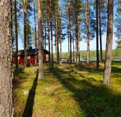 Cykelloppet Broarna Runt går av stapeln söndag den 30 juni kl 11.00. Start och mål på Kamrum. Mer info finns på Harads IF:s fb-sida samt på hemsidan www.laget.se/haradsif.