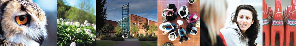 Pedagogisk handledning i en kollegial lärandepraktik
