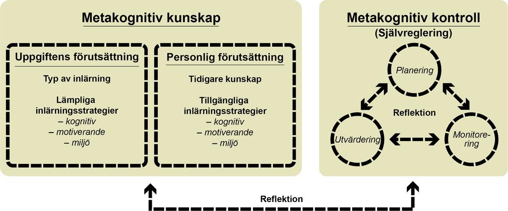 Den andra delen i Ertmer och Newbys (1996) modell, metakognitiv kontroll, beskriver själva självregleringen i modellen och hur en individ kontrollerar och anpassar sig efter den metakognitiva