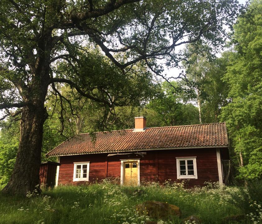 Vid Sandudden öppnar skogen upp sig till en glänta och här finns ett rastbord att ta en paus vid.