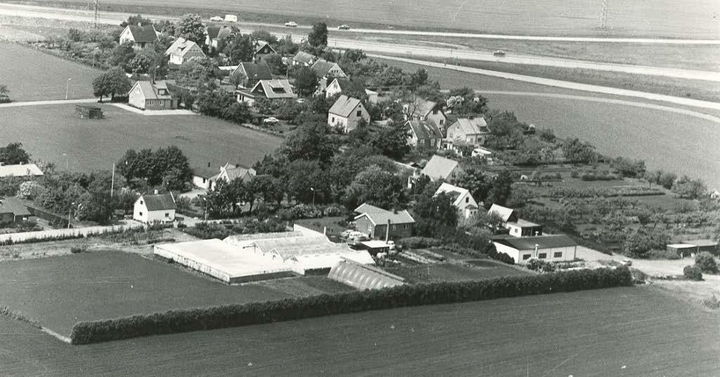 4.3 Ahrlings handelsträdgård delområde B Centralt på undersökningsområdet bedrevs handelsträdgård (Ahrlings handelsträdgård) iallafall från 1940-talet fram till 1976 då nuvarande fastighetsägare