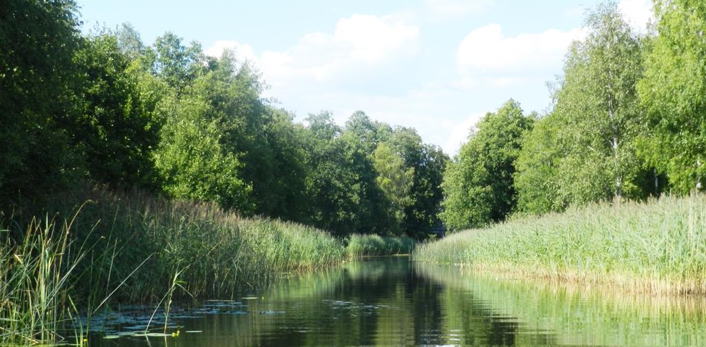 Det finns många roliga, goda, avkopplande och spännande saker att göra i närheten av hemmet. Nedan presenteras ett axplock av det utbud som Tolgs närmiljö erbjuder.