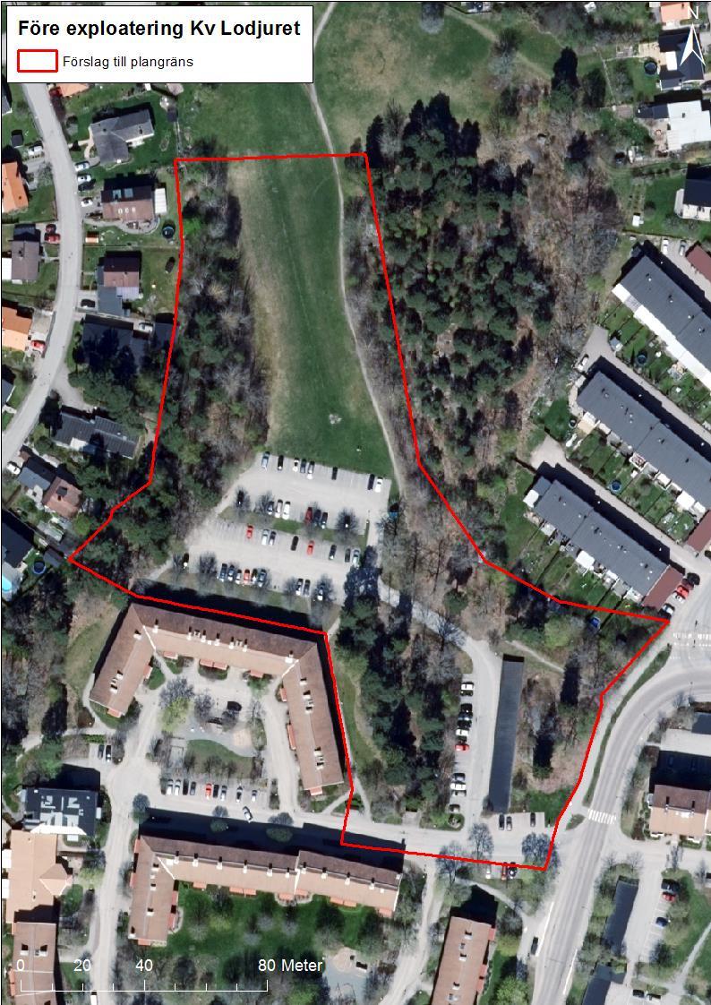 3 Områdesbeskrivning 3.1 Nuläge Planområdet för Lodjuret 4 m.fl. är cirka 2 ha stort.
