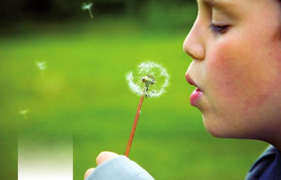 Effektiv behandling av nästäppan gör astman lindrigare och mer stabil. Vanliga allergen Pollenallergi Pollen är det allergen som orsakar allergiska reaktioner hos flest barn.