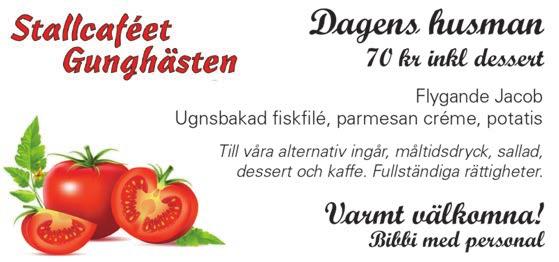 Valneviken AB, Segmon Söd St /- /0 0,a CC 0 ' Äg: Stall Norelius HB, Säffle Lin CE /- /0 0,a 0 0' c c Svart,grå axelp med klaffar,ärmb; grå Eri Ul Ro /- /0,a Cc ' År Söderkvist Stefan (Nor NL) a Jak