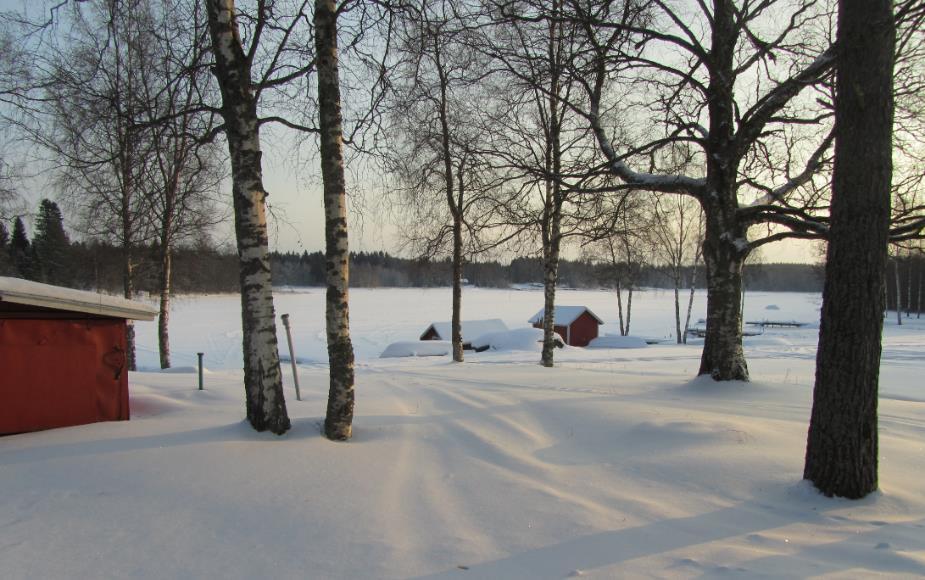 Åkerområden intill Sandavägen