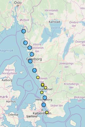 Spridning japanskt jätteostron 2005-2010