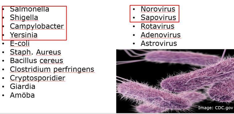 När? När började utbrottet Insjuknade alla samtidigt Fortsatt smittspridning Sekundärfall Var? Restaurang Förskola/Skola Bostadsområde Flera kommuner Hur?