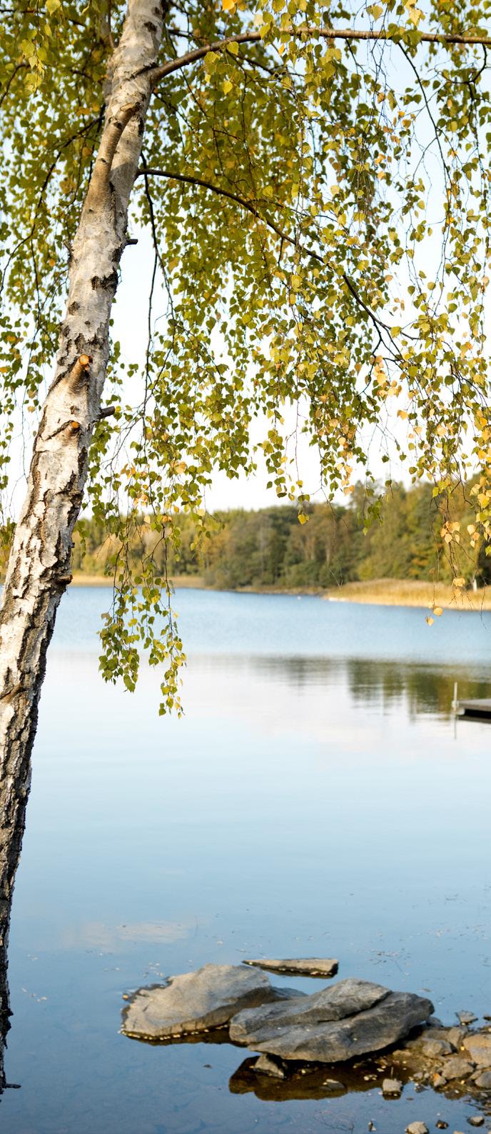 En vattendom avseende ansökan om tillstånd till utökat uttag och bortledning av ytvatten från Västra Nedsjön för vattenförsörjning i Härryda kommun meddelades av Mark- och miljödomstolen i januari