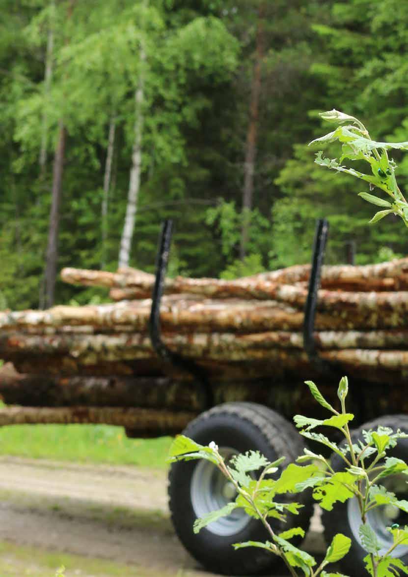Trejon är ett helägt familjeföretag, med anor från 4-talet, som nu drivs i tredje generation av Anna och Henrik Johansson.