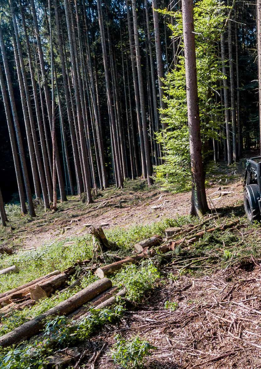 En trygg investering Skogsvagnar och kranar från Trejon Multiforest förvandlar din traktor till ett kraftfullt skogsekipage, vilket gör arbetet i skogen snabbt, effektivt och roligt varje dag, många