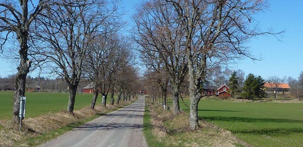 Den uppodlade slätten omger höjdryggar med ekbackar och enbevuxna hagmarker. Området kring Hassle kyrkby är en kulturmiljö av kommunalt intresse.