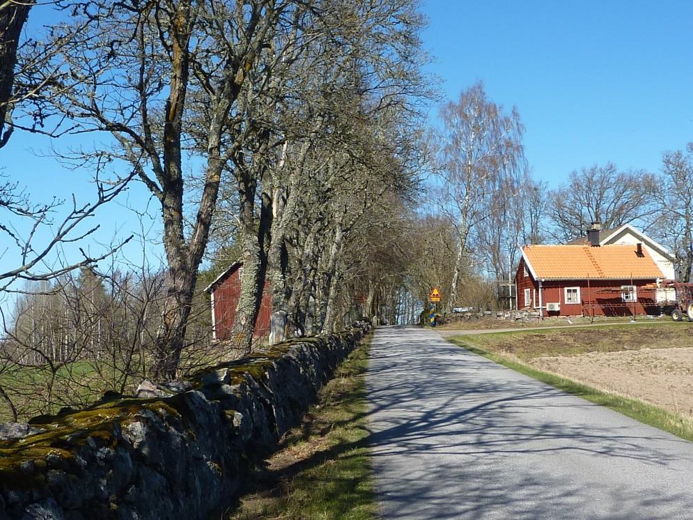 Gårdsmiljö vid Rörvägen 6.