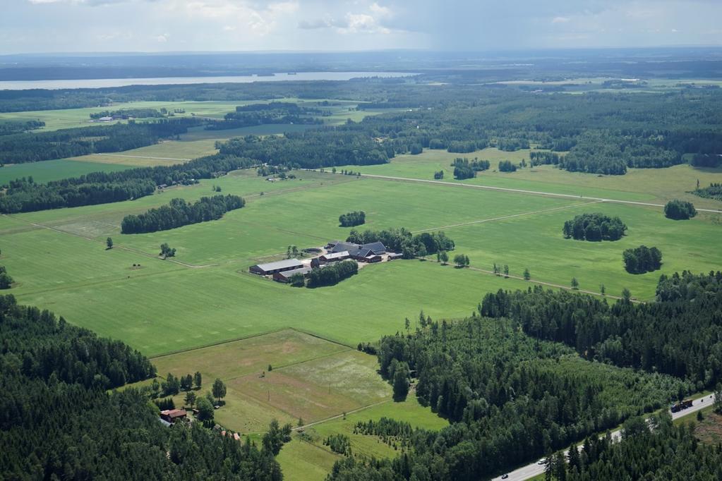 Därefter stiger terrängen och man färdas genom skogslandskap i ca fyra kilometer.