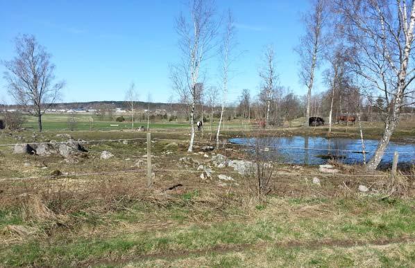 gårdsmiljöer och vackra betsmarker.