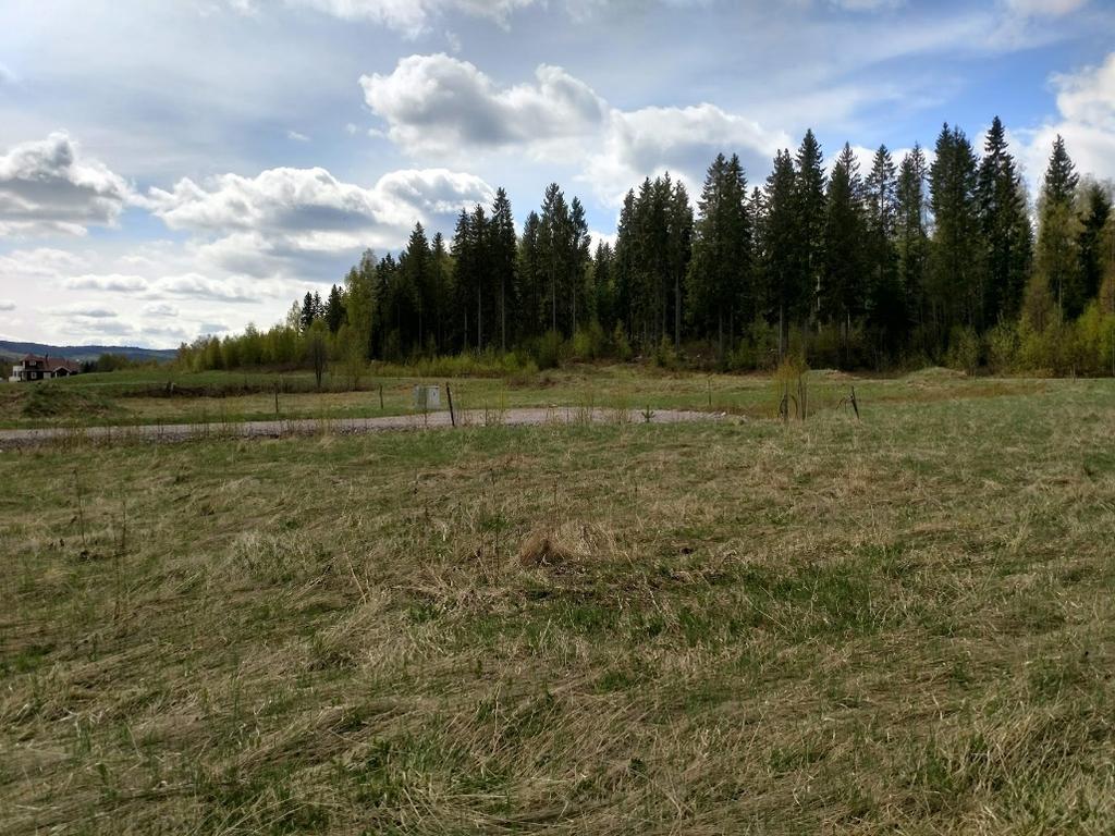 3 (10) 3, 4, 5 kap. Miljöbalken Undersökning Planen bedöms vara förenlig med miljöbalkens grundläggande bestämmelser för hushållning med mark- och vattenområden.