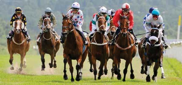 BRO PARK Tävlingarna arrangeras av Svensk Galopp www.svenskgalopp.se e-post info@svenskgalopp.
