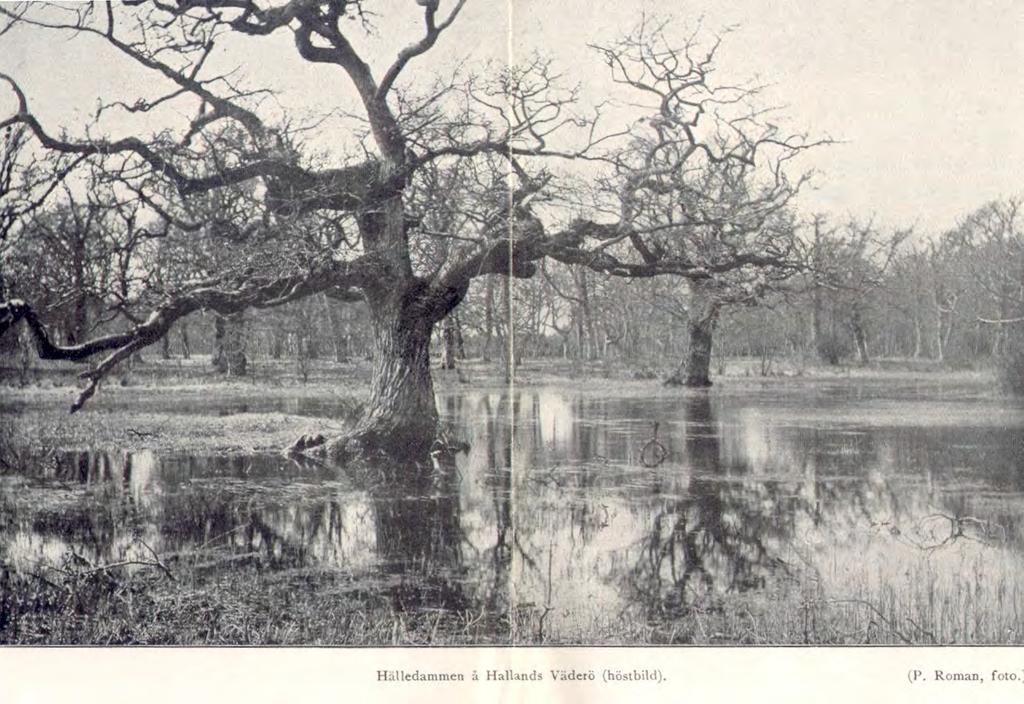 Fotografierna i Eriksons bok från 1906 är tagna av författaren med undantag av bilden nedan och ett vykort av Torekovs kyrka.
