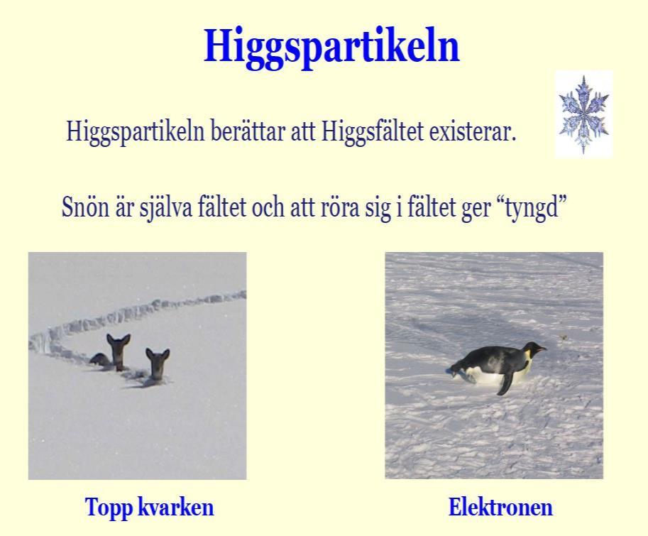 Enligt Standardteorin var alla bosoner i det tidigaste universum masslösa. Men det bröts vid det som kallas ett elektrosvagt symmetribrott (EWSB).